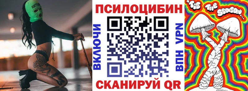 Псилоцибиновые грибы Psilocybine cubensis  Спасск-Рязанский 